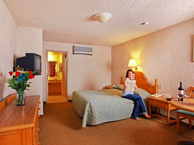 Hotel La De Zaragoza 3*